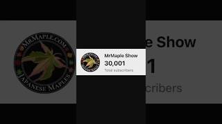 Thank you for 30k subs to the MrMaple Show on YouTube! #MrMapleShow