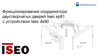 Функционирование координатора двустворчатых дверей Iseo sp81 с устройством Iseo ds90