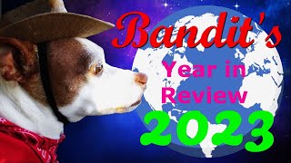 Bandit’s 2023 Year in Review