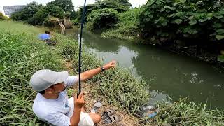 Bikin heran!! mancing di pinggir tol banyak ikanya.