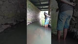 Lah coba itu || mancing peke turun segala😂 #shorts #shortvideo #mancing #fishing #fyp