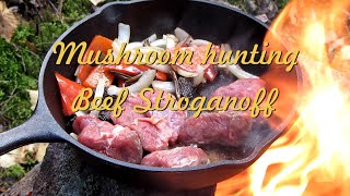 Sienestämässä | Beef stroganoff nuotiotulilla | Löysin uuden leiripaikan