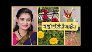 माझं बाल्कनी गार्डन | last Year Memory| | Home Balcony Garden Tour in Marathi | Vlog| #gharaniti