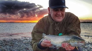 55cm havørred! NY PR!!!  FLERE STORE FISK// big seatrout