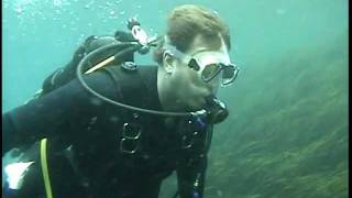 Crystal River Trip, Rainbow River Drift Dive