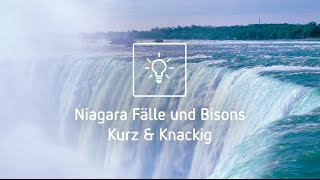 Niagara Fälle und Bisons in Kanada - Kurz & Knackig