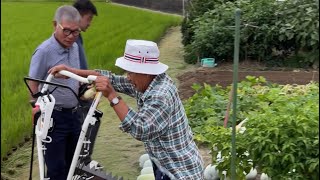 Kaicho San's Farm (کھیت) | Farming in Japan