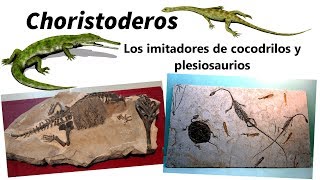 Choristoderos. Los imitadores de cocodrilos y plesiosaurios