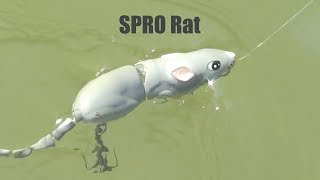 Bass Fishing ~ SPRO Rat ~ Slow Motion ~ Fishing Lure