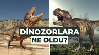 DİNOZORLARA NE OLDU?