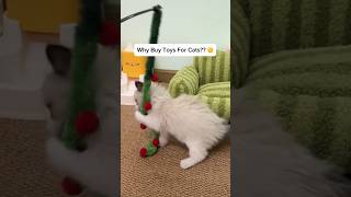 My Cat LOVES This New Toy! #foryou #pet #shorts #catvideos #catshorts #animal #cat #cutecat #kitten