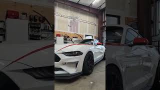 Ford Mustang GT Detail | Junction Auto Salon #junctionautosalon #autodetailer #mustang #ford #gt