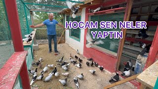 BİR TÜRK VİYANA YI  KEŞFETTİ AMA KUŞLARINDAN ASLA VAZGEÇMEDİ & ÖĞRETMEN KARDEŞİNE NELER YAPTIRDI