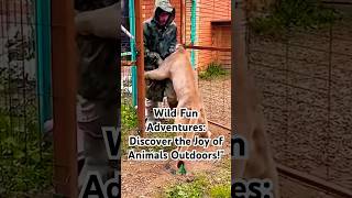 Wild Encounters: Unforgettable Outdoor Adventures with Animals!"