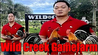 Lets Visit The Farm Of Wildcreek Gamefarm