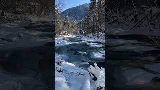 Горная река | Архыз | Февраль 2023 Mountain river