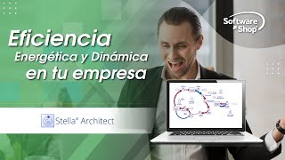 Eficiencia Energética y Dinámica de Sistemas