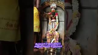 ஆறுமுகம் அருளிடும் அனுதினமும் ஏறுமுகம் #murugan #murugansongs #shorts #song #shortvideo #short