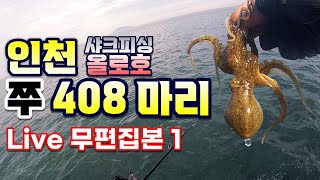 인천 쭈꾸미 408 마리 실시간 무편집본 1