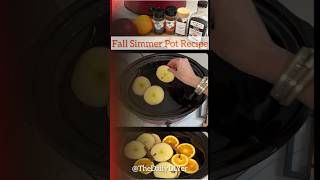 🍁Cozy Fall Simmer Pot | Easy & So Good!