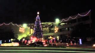 BREA'S Christmas Tree Lighting Video Brea CA