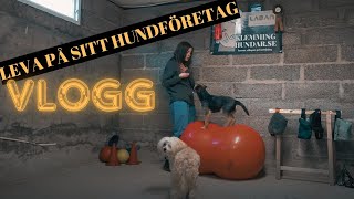 Vlogg - Kan jag leva på mitt företag? Var kommer mina intäkter från?