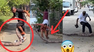 La Serpiente Gigante! 😱🐍 #humor #viral #broma