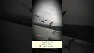 اشهر موسيقا في العالم 💔مع كلمات شعر ولا اروع💔 اسمعها ولن تندم