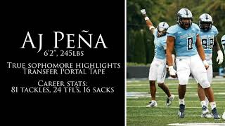 Aj Peña 2023 Football Highlights | Transfer Portal Tape | True sophomore Highlights