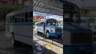 Puro clásico de Autotransportes Banderilla. #buses #autobuses