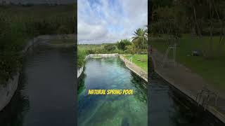 Colombia Natural Spring Pool #shorts