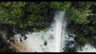 Top Down Over Snow and Trees [Stock Footage]