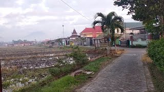 Walaupun di Tengah Persawahan Banyak Berjejeran Rumah mewah ||kampung TKI Tulungagung Jawa Timur