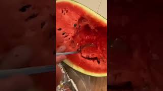 Sweet watermelon 🍉 #foryou #shortvideo #ytshorts #viral #shorts  #sweet #watermelon #fruit