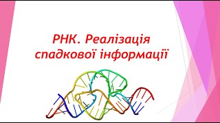 РНК  Реалізація спадкової інформації. Урок біології в 9 класі