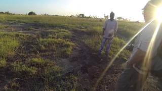 Guided walk in the Okavango Delta