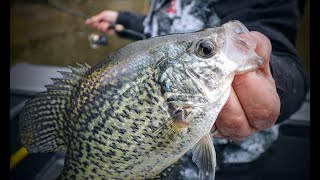 Spring Crappie Strategies for Success