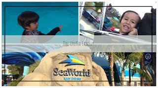 1st video of 2019 at SeaWorld