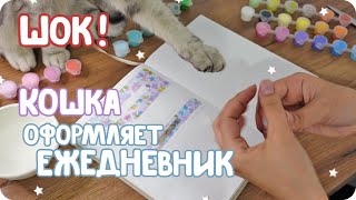 Простое оформление ежедневника буллет джорнал / bullet journal на октябрь