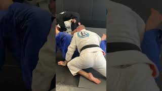 Basic Omoplata Sweep when opponent try to step over #omoplata #bjj #jiujitsu