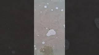 Esse buraco que forma na areia do mar #praiagrande #praias #mares #buraco #asmr