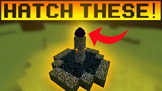 How to Hatch a Dragon Egg in Minecraft! - Scalacube