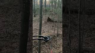 Crossbow Hunt #deerhunt #huntingseason