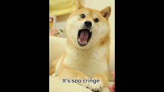 Proof doge has cameras on you #fun #doge #memes