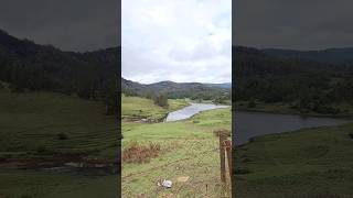 Mannavanur Lake 😍😍 #kodaikanal #lake #nature#farming#sheep#rabbit#tourism#shorts#viral#nihanthsvlog