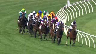 The Hong Kong Jockey Club Stakes 2024 - FANCIFY (4YO+ SWP G3 M) Group 3 Flemington 5 November