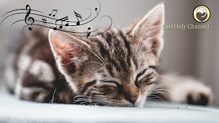 Music to Calm Cats and Help Them Peacefully Sleep - Peaceful Piano Music