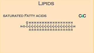 Biomolekuły - Lipidy