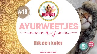 Ayurweetjes #18 | Hik een kater