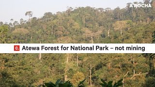 Atewa Forest for National Park: campaign update